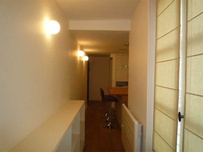 Rnovation d'un appartement rue du Faubourg Saint Honor : image_projet_mini_7058
