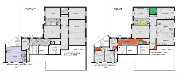 Annexion a un APPARTEMENT HAUSSMANNIEN : image_projet_mini_80040